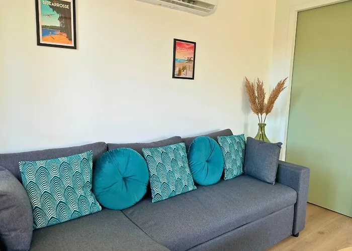 Paisible Proche Du Biscarrosse